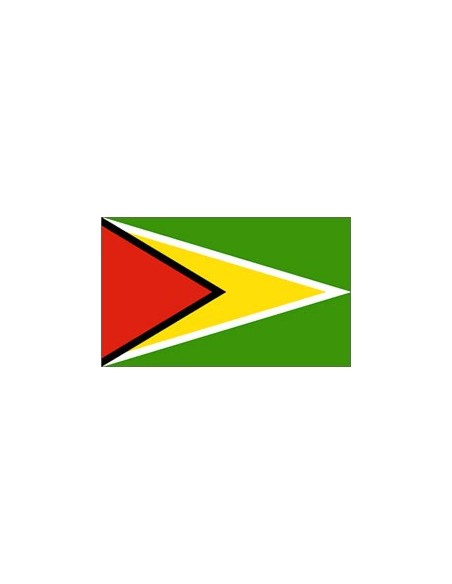 BANDIERA GUYANA CM 100X150