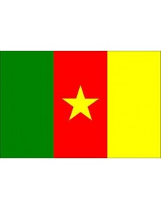 BANDIERA CAMERUN CM 100X150