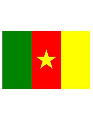 BANDIERA CAMERUN CM 100X150