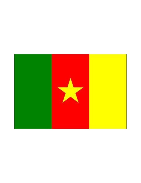 BANDIERA CAMERUN CM 100X150