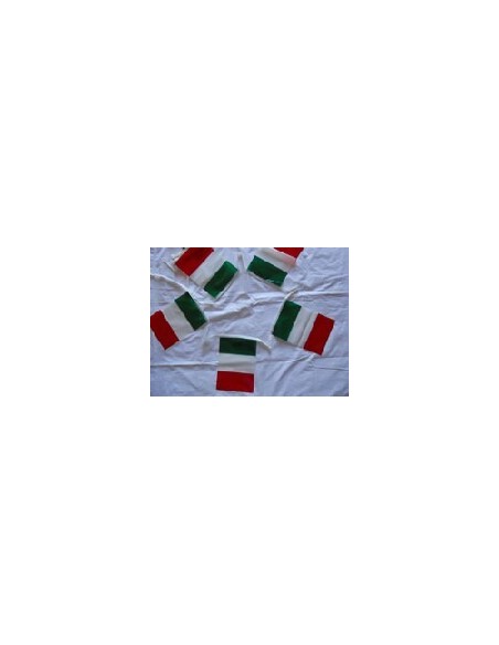FESTONI RETTANGOLARI ITALIA IN POLIETILENE CM 20X30