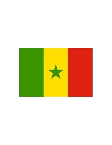 BANDIERA SENEGAL CM 70X100