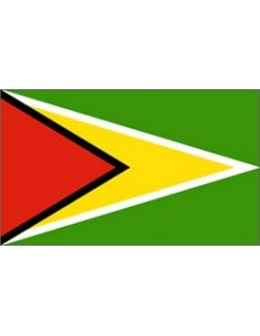 BANDIERA GUYANA CM 70X100