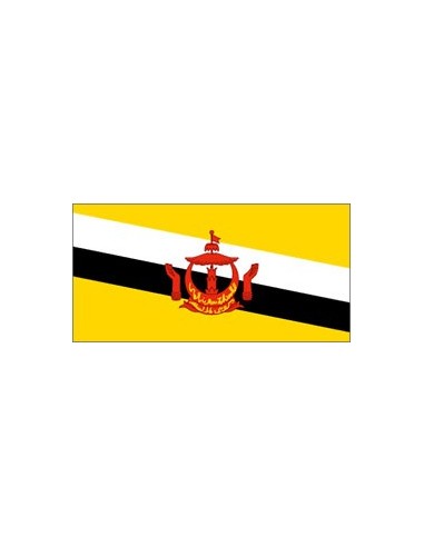 BANDIERA BRUNEI CM 100X150