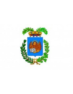 BANDIERA PROVINCIA DI VENEZIA