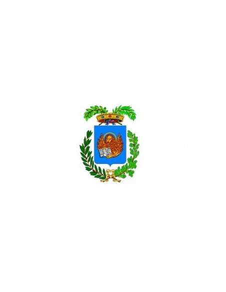 BANDIERA PROVINCIA DI VENEZIA
