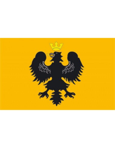 BANDIERA PROVINCIA DI PISA